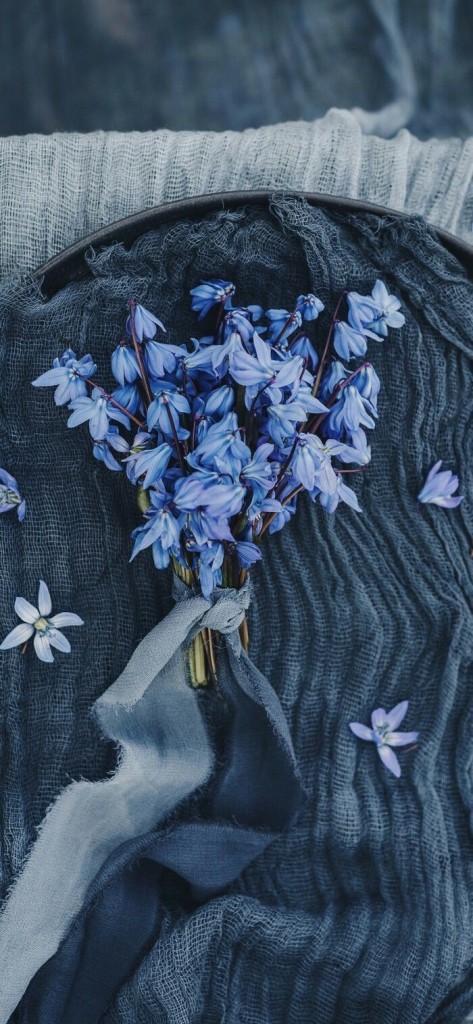 florim albastre